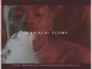 Flexmunyboii - Mariachi Flows